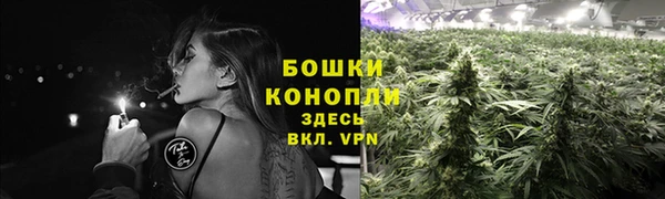 МДПВ Верхний Тагил