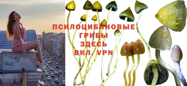 МДПВ Верхний Тагил