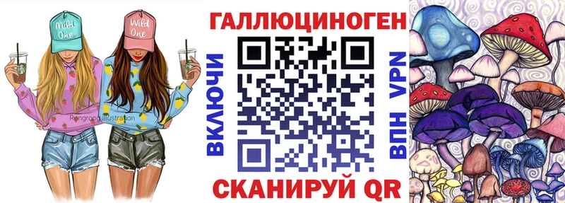 Псилоцибиновые грибы Cubensis Купить закладки Цивильск